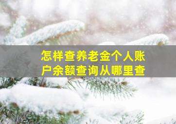 怎样查养老金个人账户余额查询从哪里查