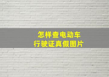 怎样查电动车行驶证真假图片