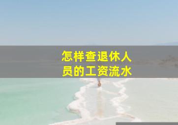 怎样查退休人员的工资流水