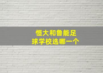 恒大和鲁能足球学校选哪一个