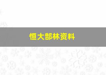 恒大郜林资料