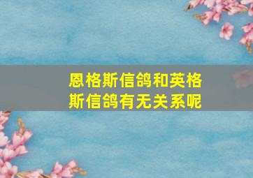 恩格斯信鸽和英格斯信鸽有无关系呢