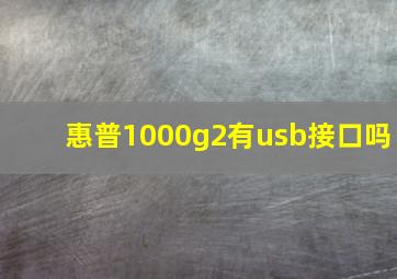 惠普1000g2有usb接口吗