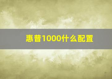 惠普1000什么配置