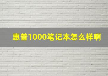 惠普1000笔记本怎么样啊