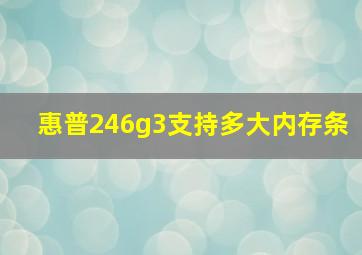 惠普246g3支持多大内存条