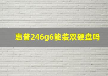 惠普246g6能装双硬盘吗