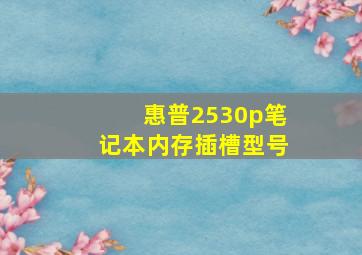 惠普2530p笔记本内存插槽型号