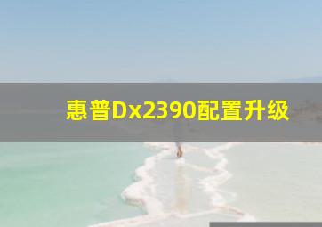 惠普Dx2390配置升级