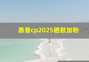 惠普cp2025硒鼓加粉