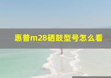 惠普m28硒鼓型号怎么看