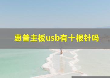 惠普主板usb有十根针吗