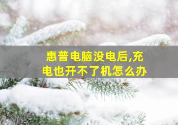 惠普电脑没电后,充电也开不了机怎么办