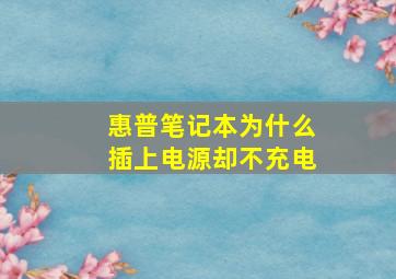 惠普笔记本为什么插上电源却不充电