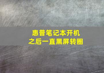 惠普笔记本开机之后一直黑屏转圈