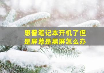 惠普笔记本开机了但是屏幕是黑屏怎么办