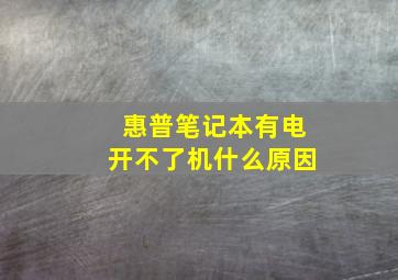 惠普笔记本有电开不了机什么原因