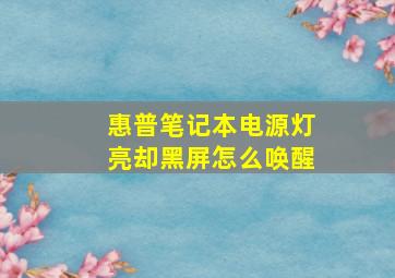 惠普笔记本电源灯亮却黑屏怎么唤醒