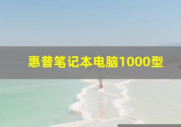 惠普笔记本电脑1000型