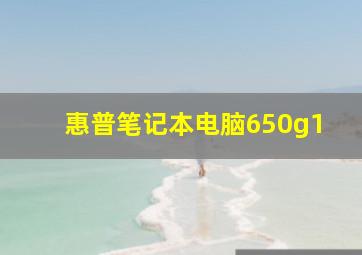 惠普笔记本电脑650g1