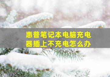 惠普笔记本电脑充电器插上不充电怎么办