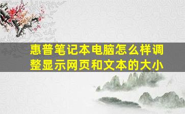 惠普笔记本电脑怎么样调整显示网页和文本的大小