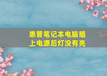 惠普笔记本电脑插上电源后灯没有亮