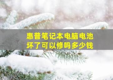 惠普笔记本电脑电池坏了可以修吗多少钱