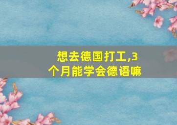 想去德国打工,3个月能学会德语嘛