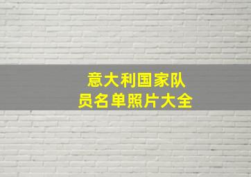 意大利国家队员名单照片大全