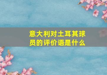 意大利对土耳其球员的评价语是什么