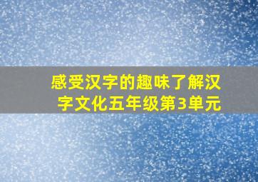 感受汉字的趣味了解汉字文化五年级第3单元