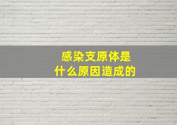 感染支原体是什么原因造成的