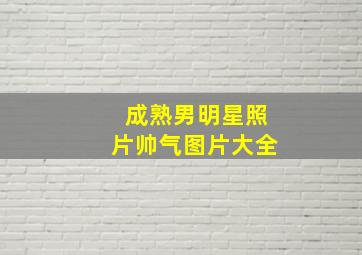 成熟男明星照片帅气图片大全