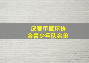 成都市篮球协会青少年队名单