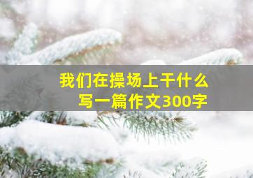 我们在操场上干什么写一篇作文300字