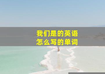 我们是的英语怎么写的单词