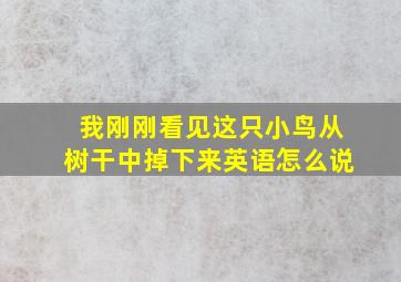 我刚刚看见这只小鸟从树干中掉下来英语怎么说