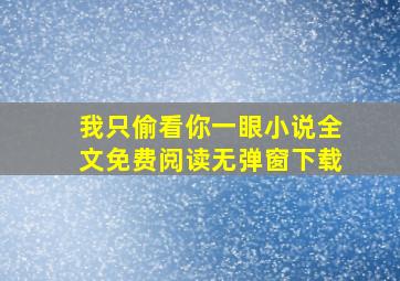 我只偷看你一眼小说全文免费阅读无弹窗下载