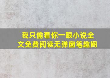 我只偷看你一眼小说全文免费阅读无弹窗笔趣阁