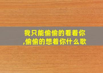 我只能偷偷的看着你,偷偷的想着你什么歌