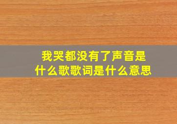 我哭都没有了声音是什么歌歌词是什么意思