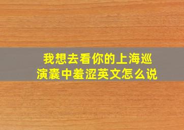 我想去看你的上海巡演囊中羞涩英文怎么说