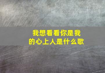 我想看看你是我的心上人是什么歌