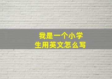 我是一个小学生用英文怎么写