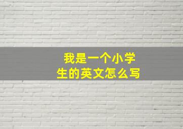 我是一个小学生的英文怎么写