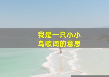 我是一只小小鸟歌词的意思