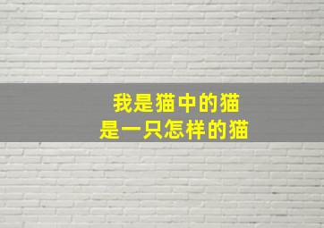 我是猫中的猫是一只怎样的猫