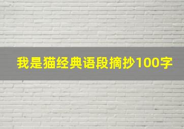 我是猫经典语段摘抄100字