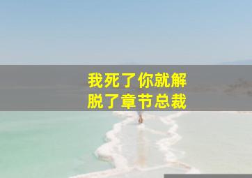 我死了你就解脱了章节总裁